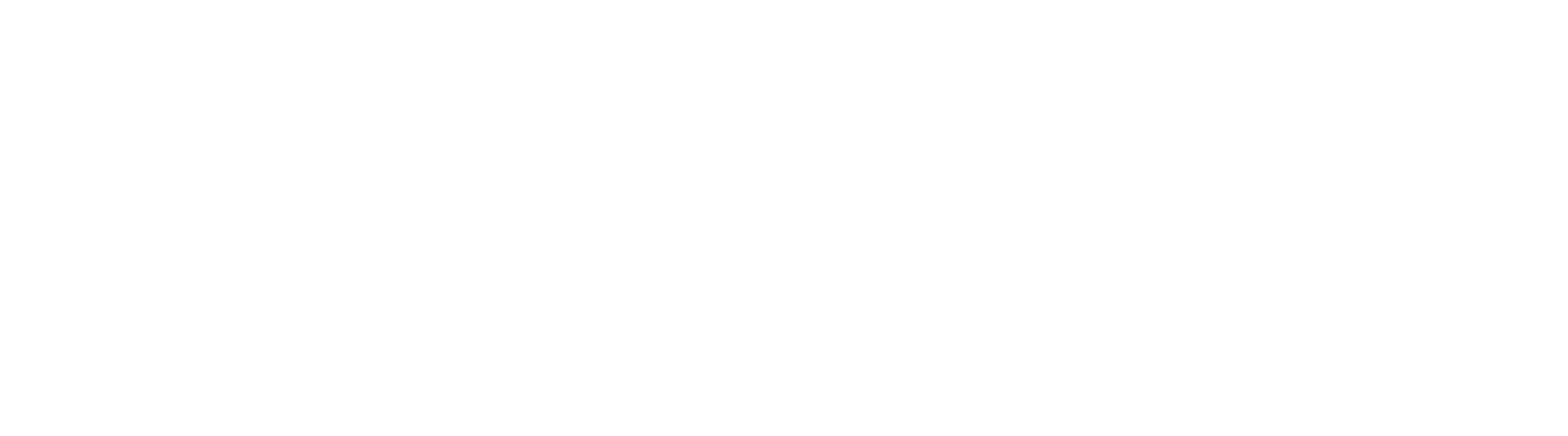 VAP Logo Final_Main Logo Only - Mono White (1)